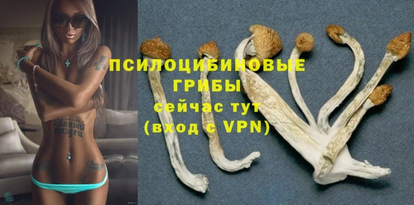 синтетический гашиш Нефтекумск