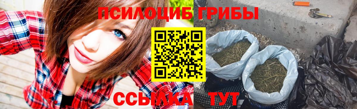 Псилоцибиновые грибы мицелий  закладки  Муром 