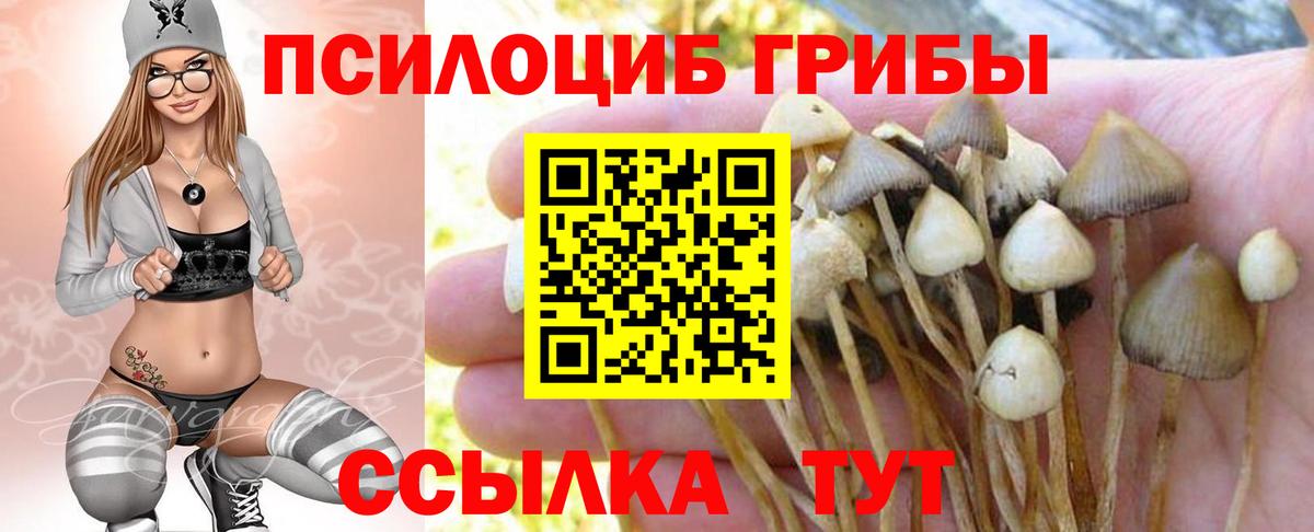 Псилоцибиновые грибы мицелий Муром