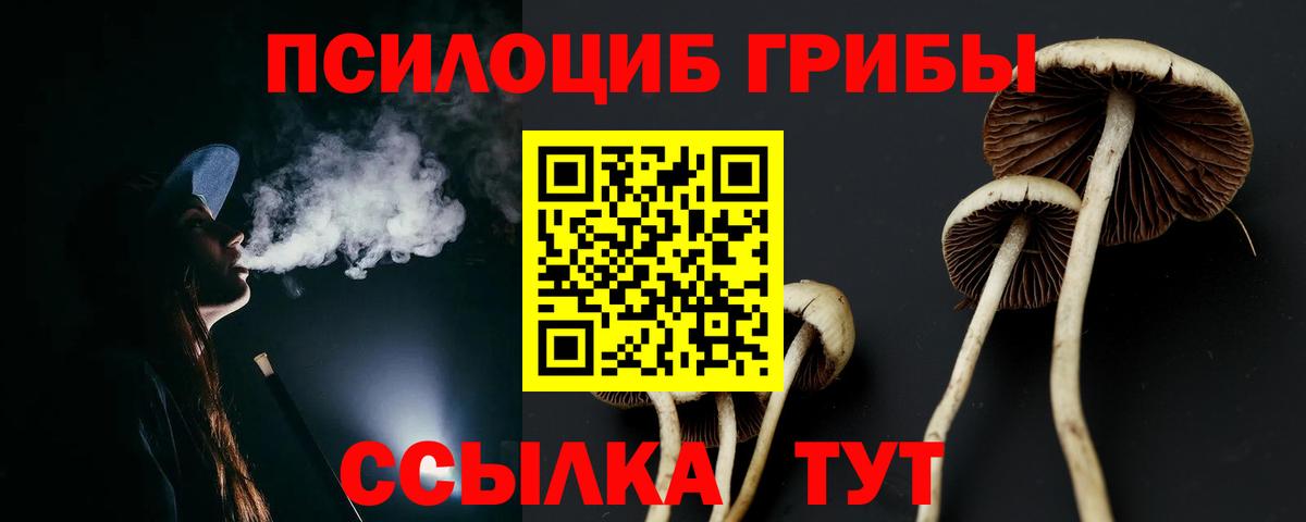 Псилоцибиновые грибы ЛСД  Вход с VPN  где купить   Муром  Псилоцибиновые грибы Psilocybe 